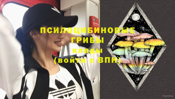 PSILOCYBIN Баксан
