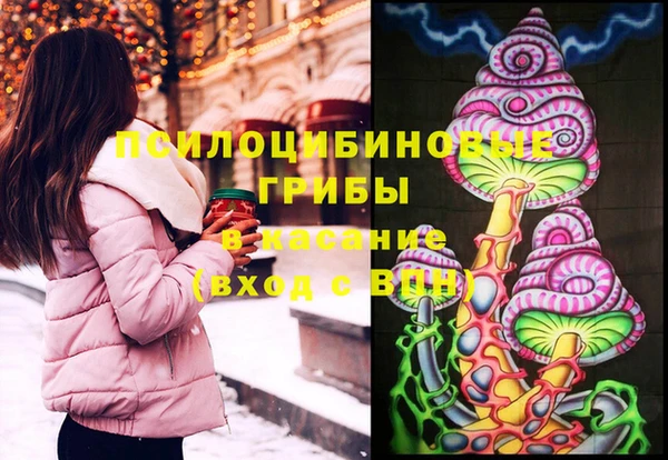 PSILOCYBIN Баксан