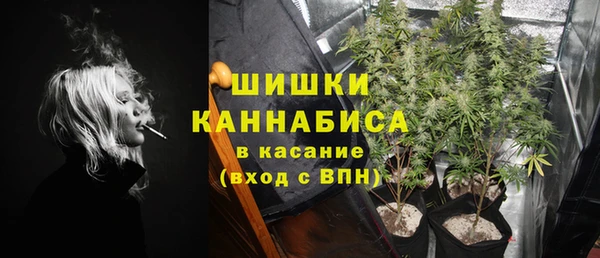 PSILOCYBIN Баксан