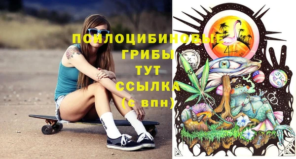 тгк Балахна