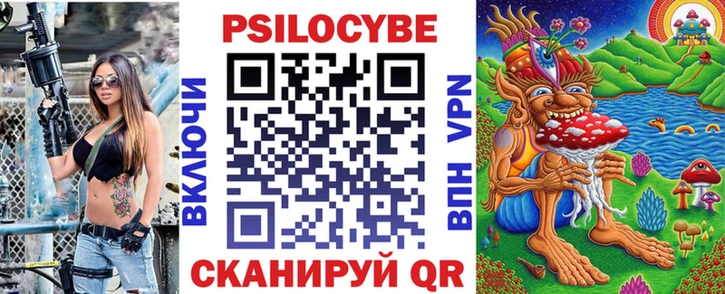 Псилоцибиновые грибы Psilocybe  где можно купить   Михайловка 